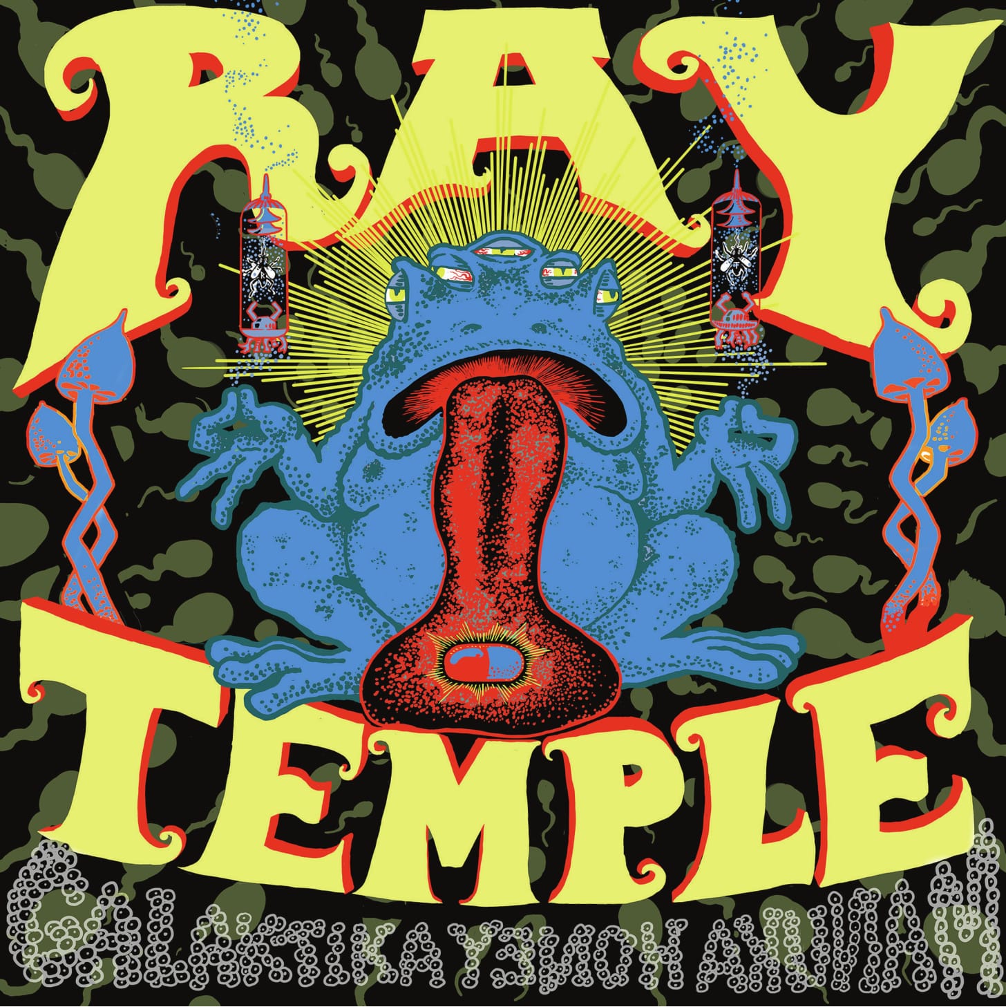 Ray Temple Cover